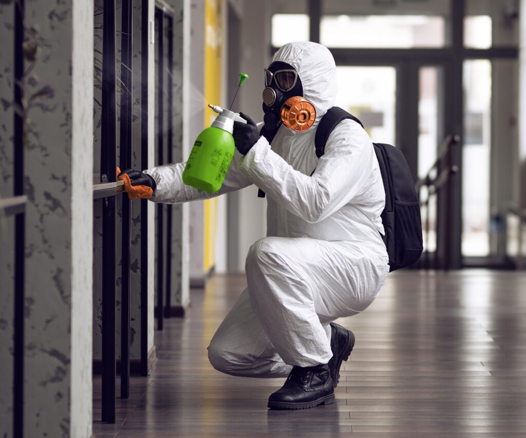 commercial mold removal Charlotte NC