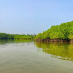 sundarban tour package