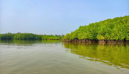 sundarban tour package