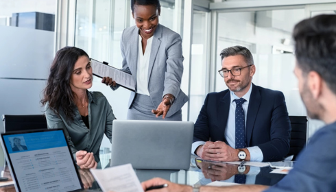 expert witness consultation