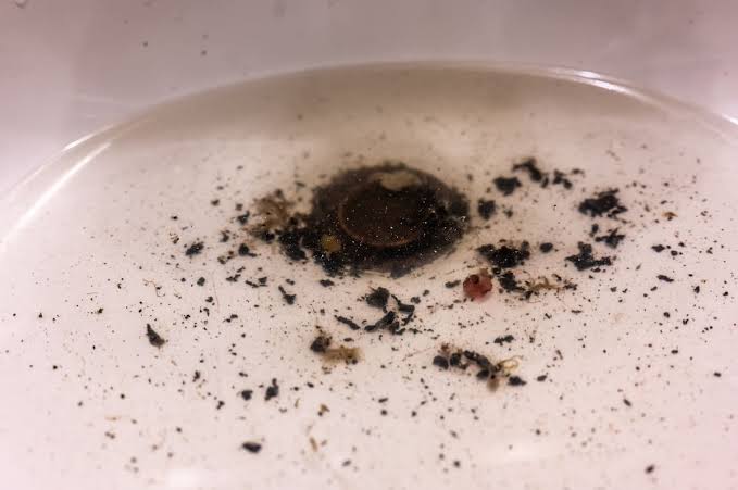 rotten-egg odors